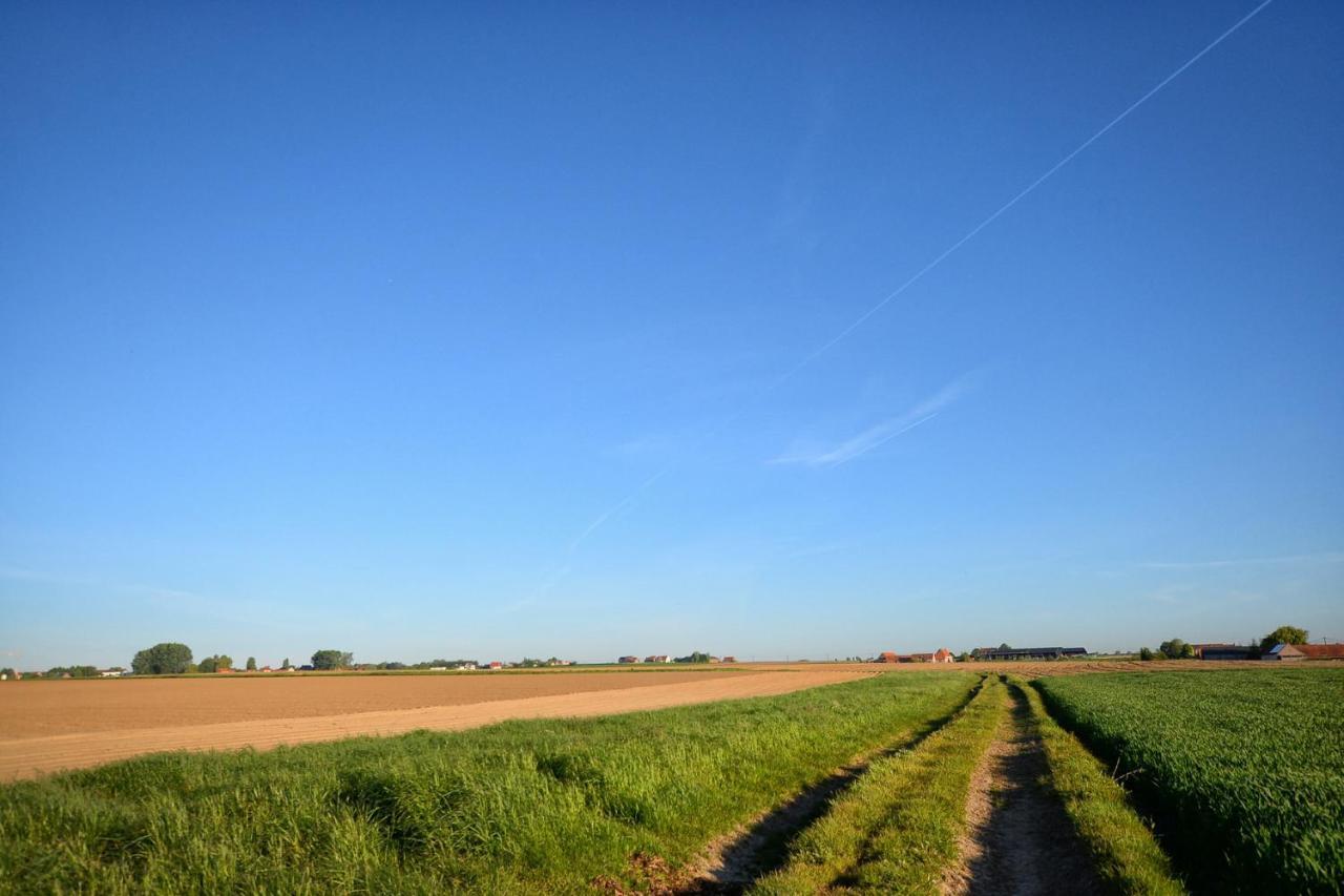 Hoeve Ten Rooden Duifhuize Sint-Denijs エクステリア 写真