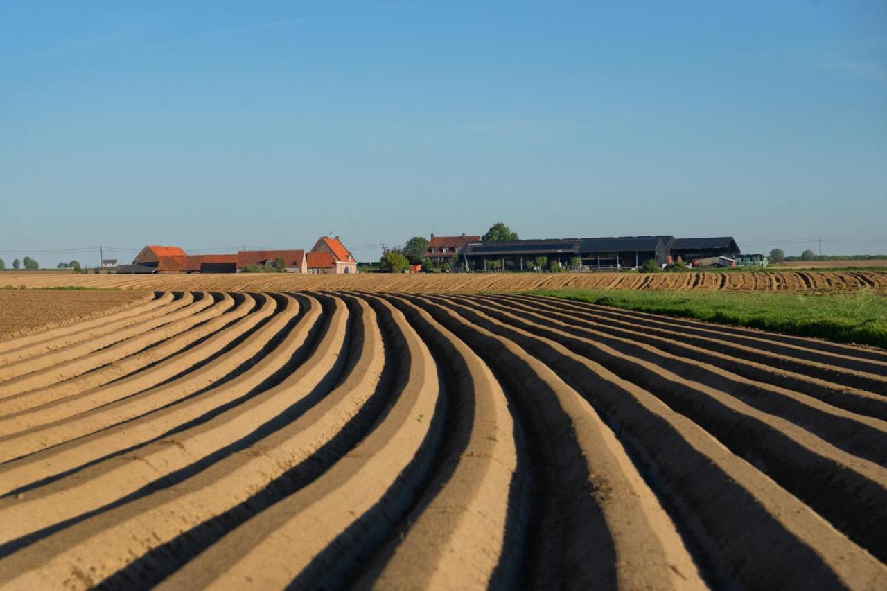Hoeve Ten Rooden Duifhuize Sint-Denijs エクステリア 写真